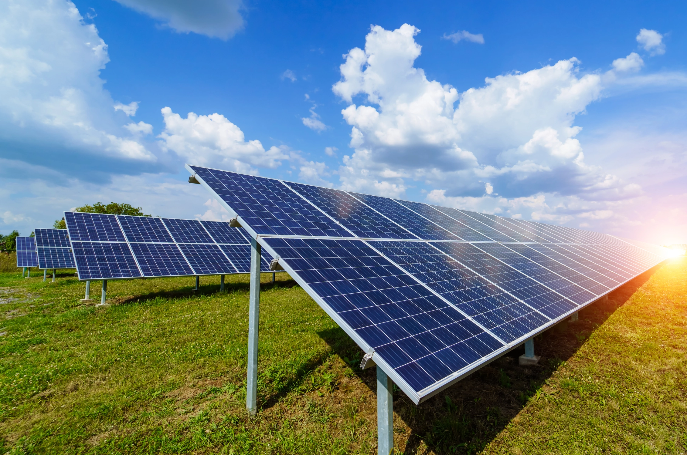 plantas solares de terreno